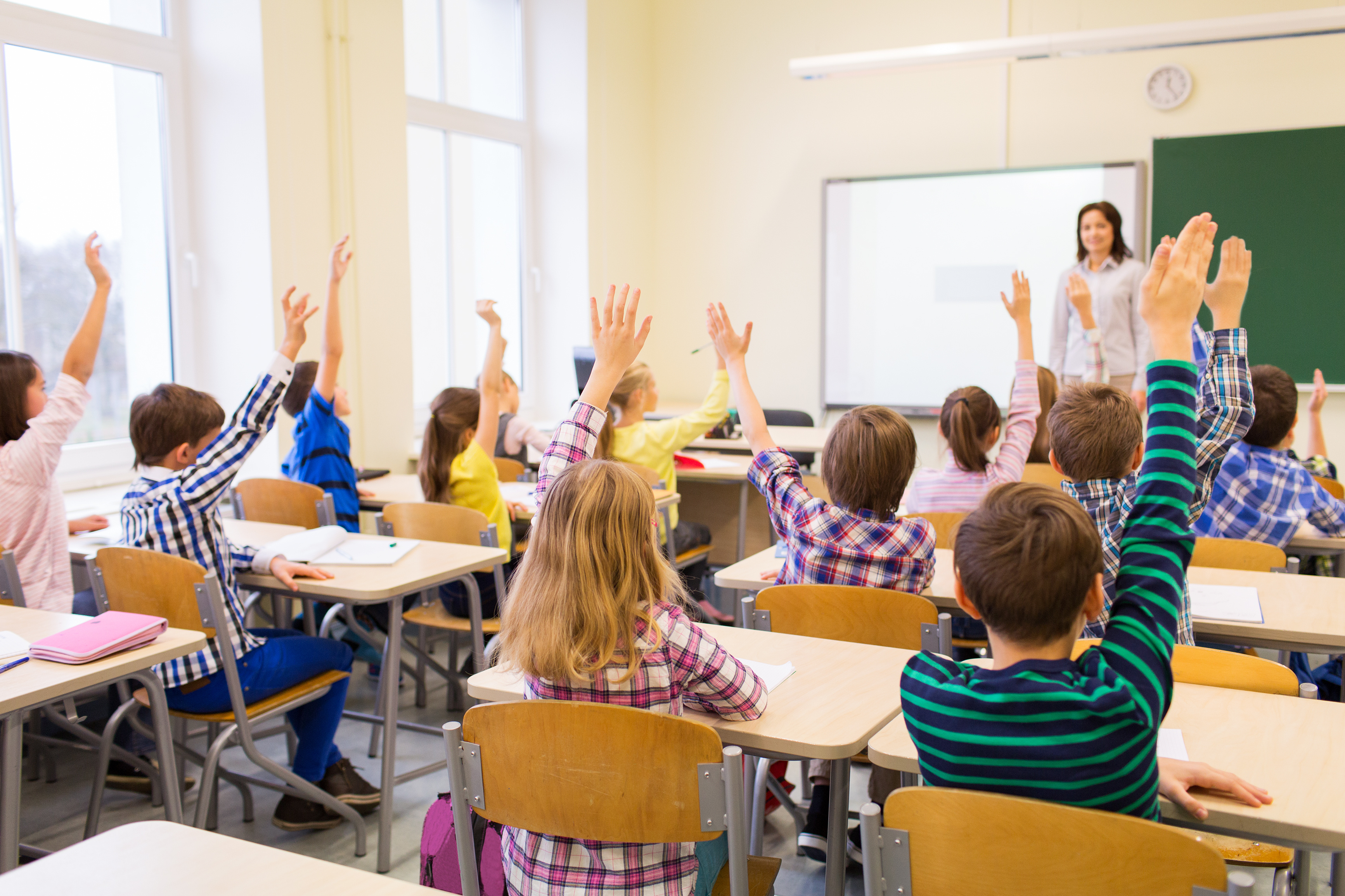 Appel à candidature projet label "École Plus Propre" 2025-2026